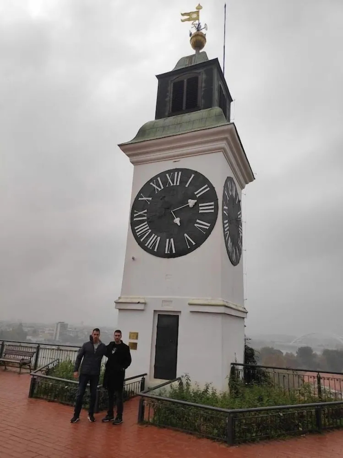 Selection Apartments & Rooms