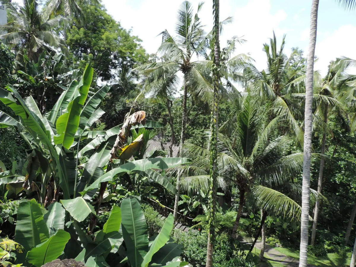 Nick's Hidden Cottages