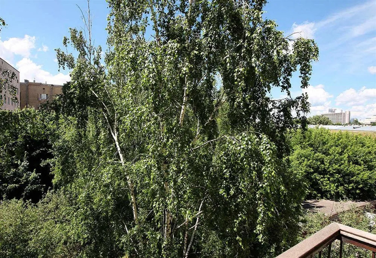 Apartment Kiev Lesi Ukrainki