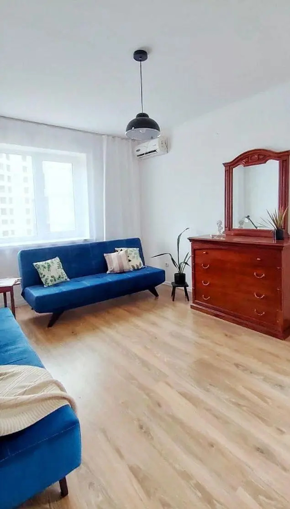 Солнечный эвкалипт на улице Крылова