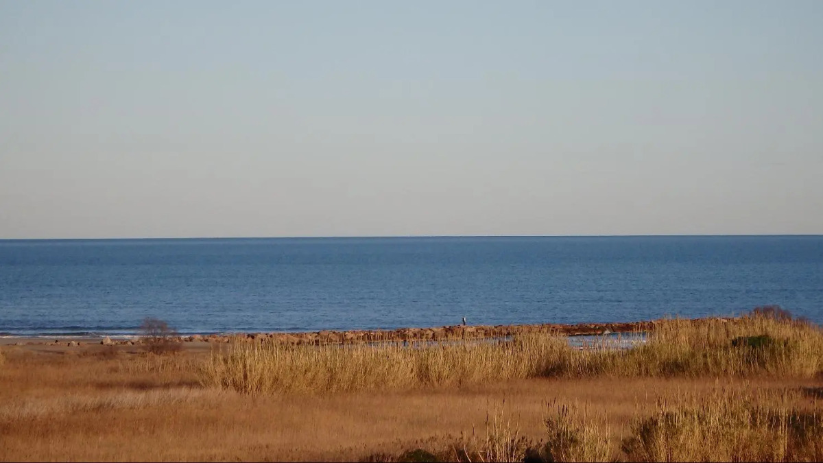 Flag Hotel Florazar Valencia