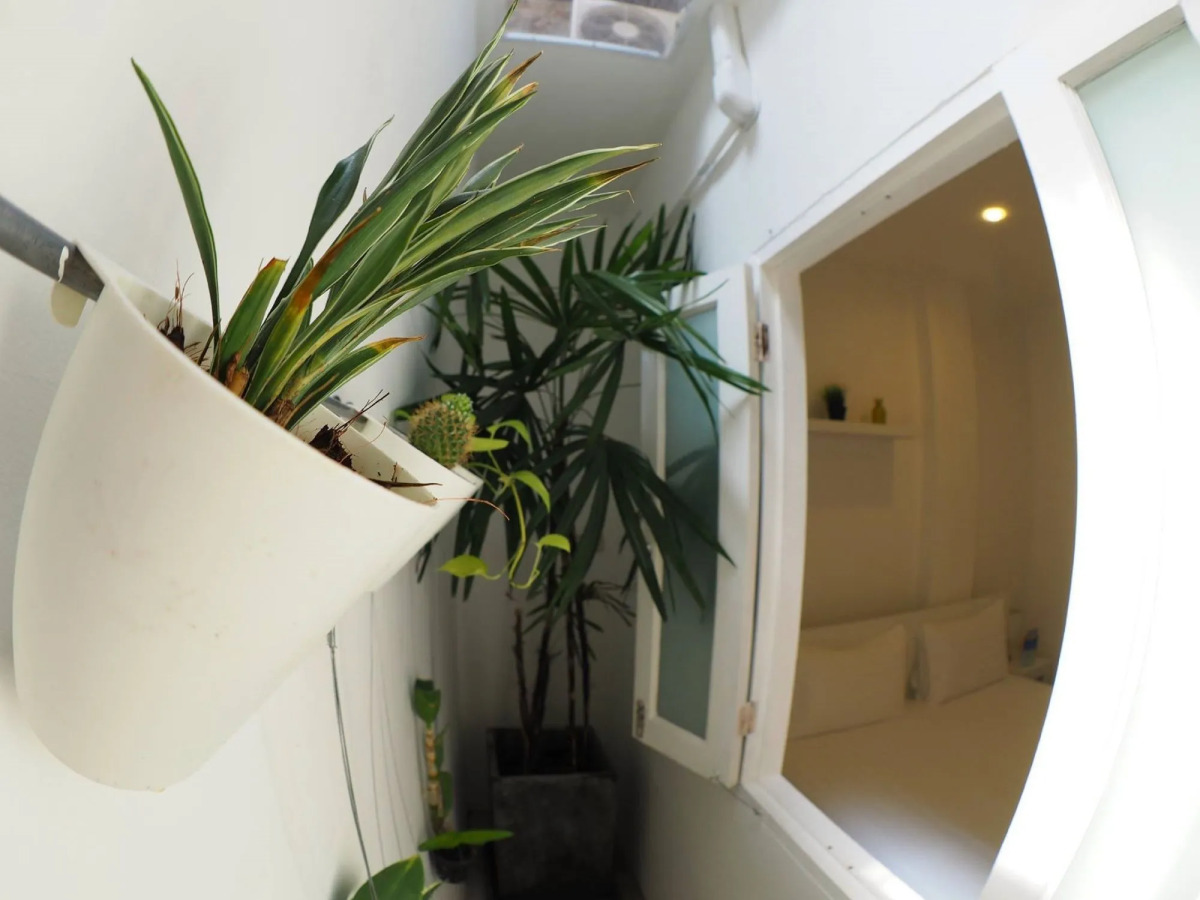 Chino Town at Yaowarat Phuket