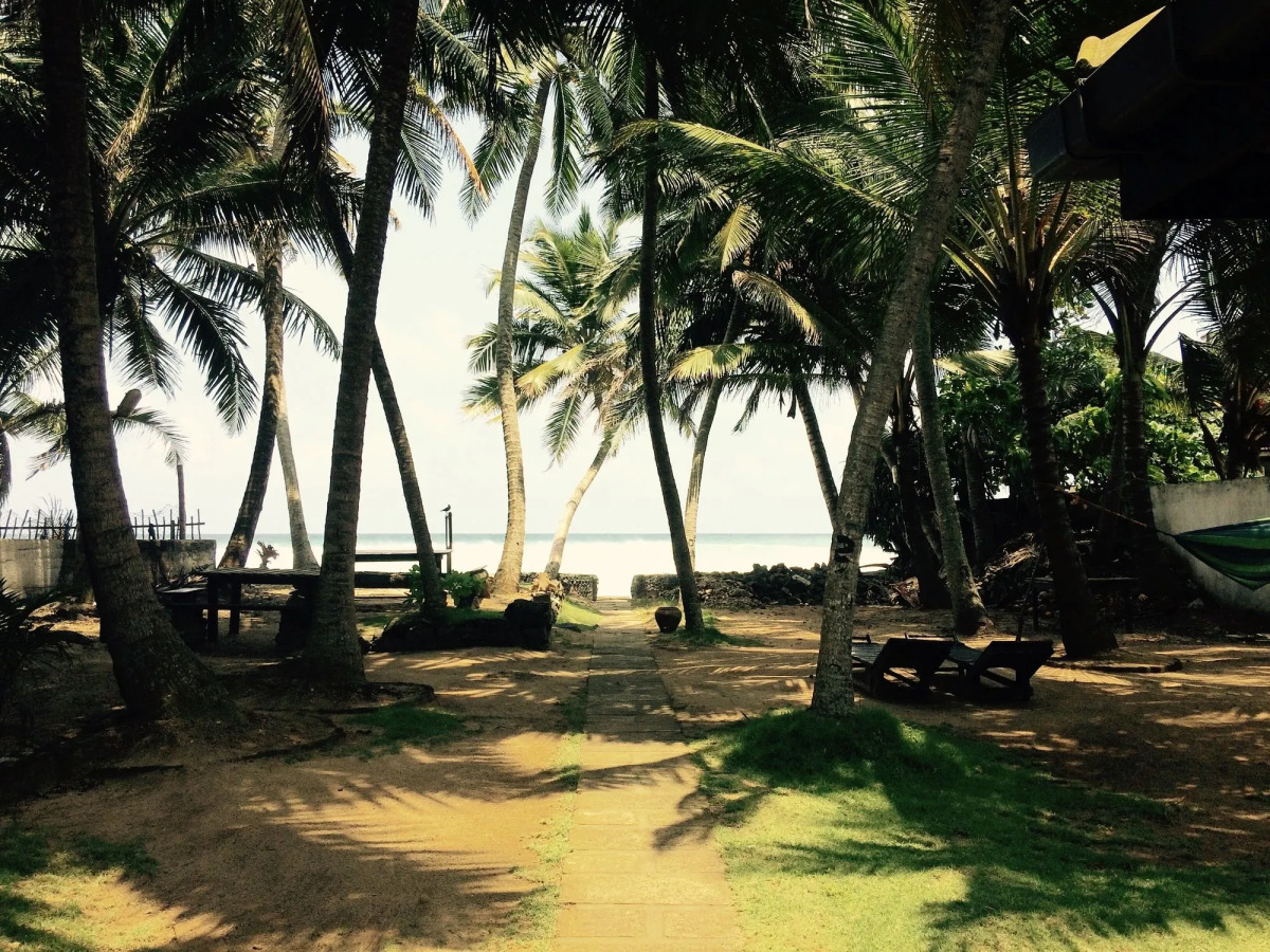 Curry Bowl Restaurant & Turtles Rest