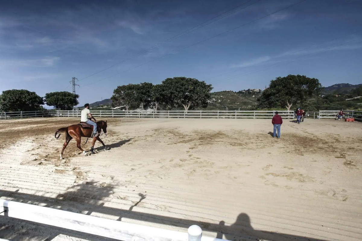 Hotel Il Parco degli Ulivi