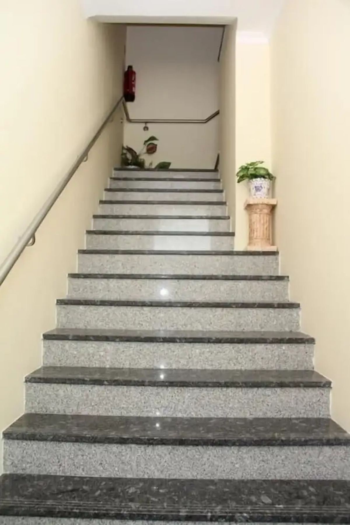 Pensão Leão De Ouro