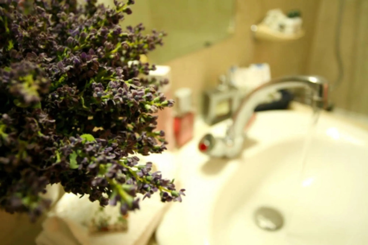 Hôtel de l'Alma by Malone