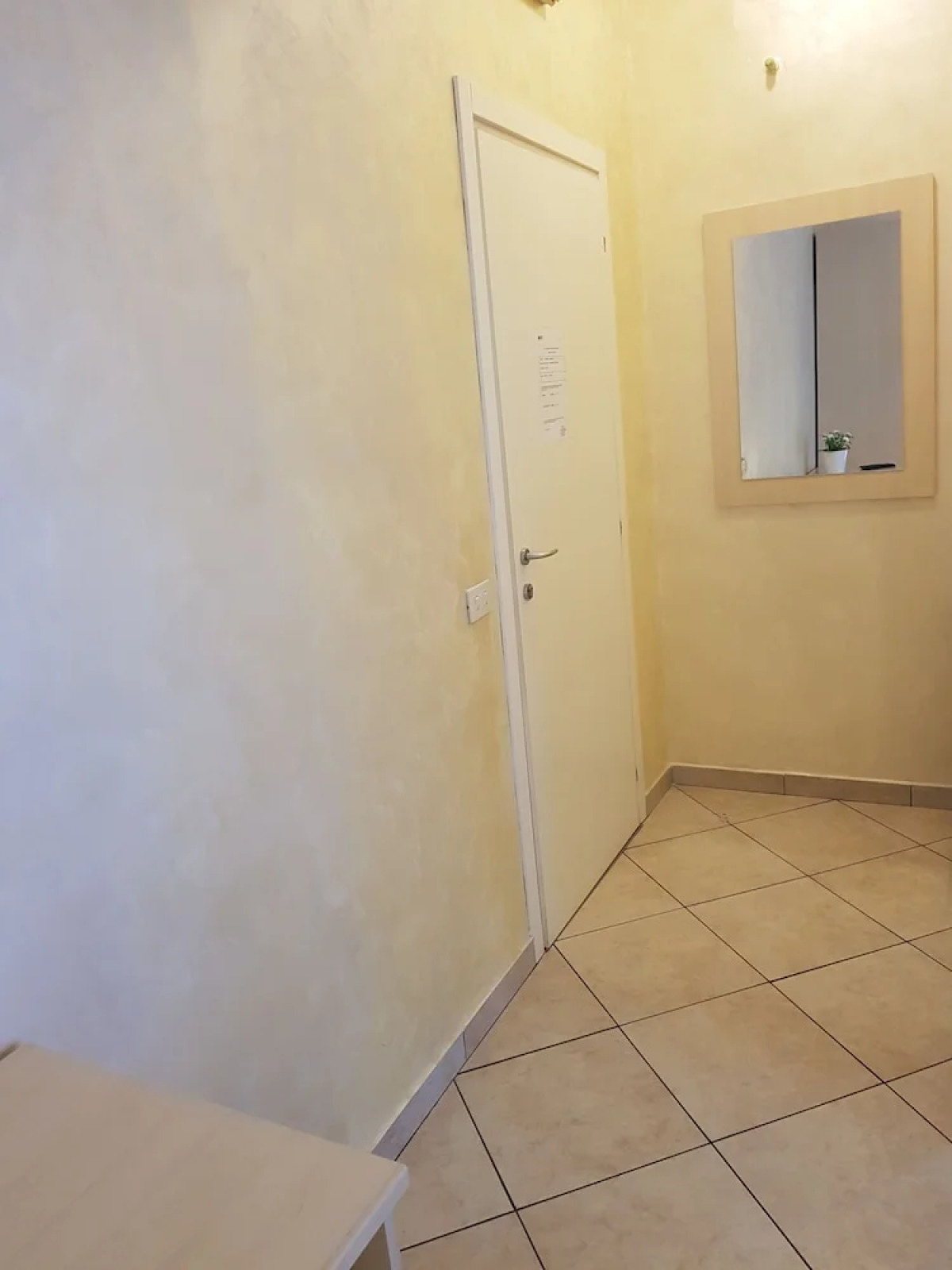 Dodo Holiday in Rome