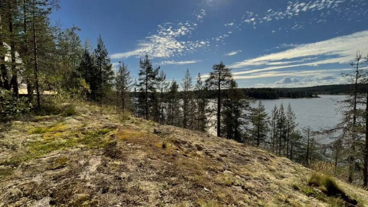 Вили Улей Карелия