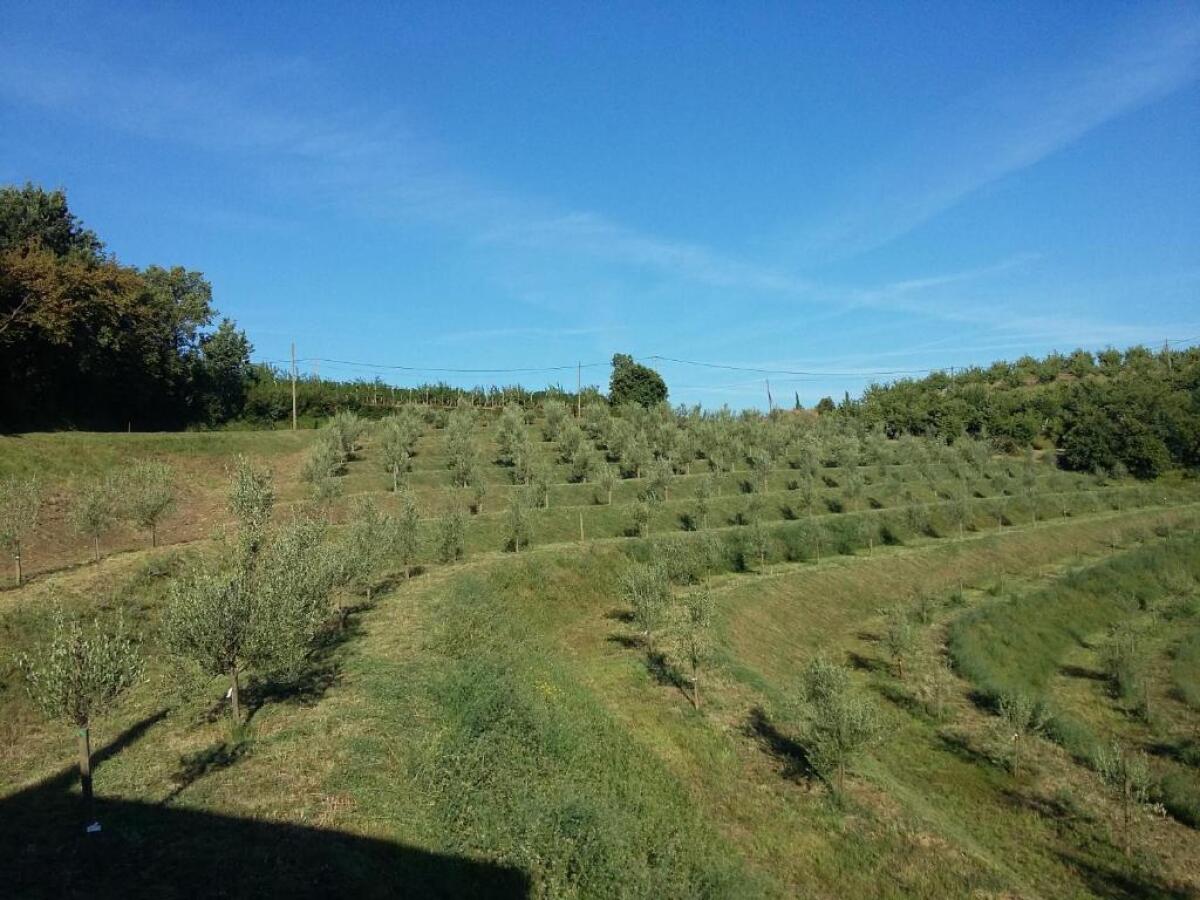 Luxury Villa Eva Pool Whirlpool & Sauna