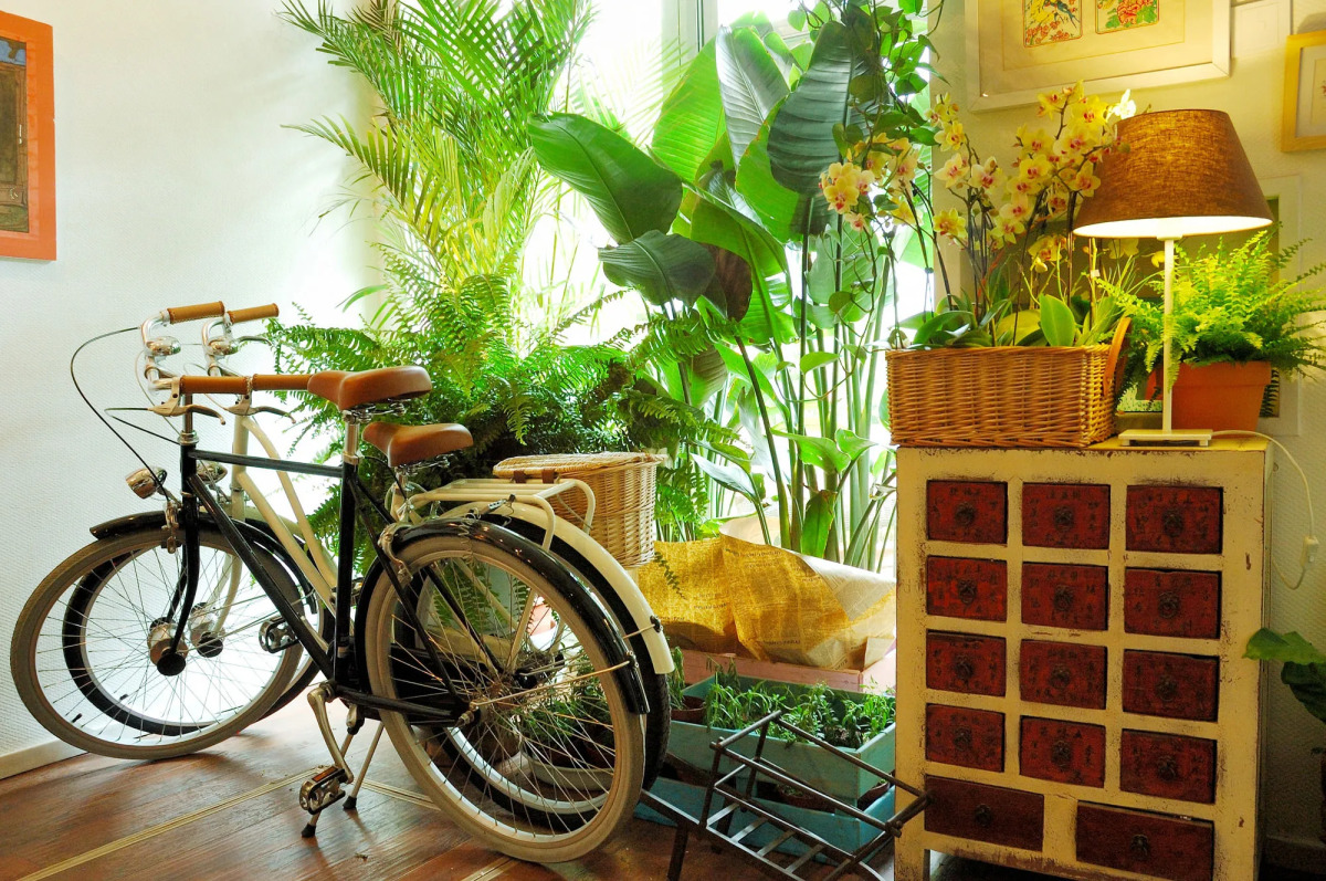 Peking International Youth Hostel