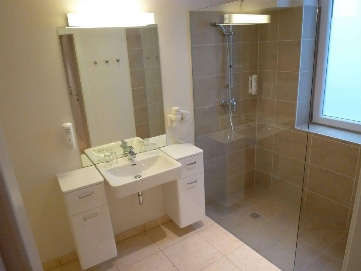 Hahn Apartment Vienna City