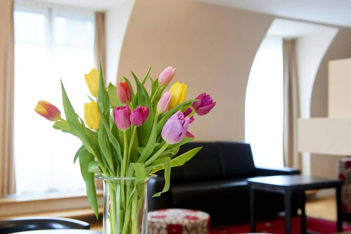 Singerstrasse 21-25 Aparthotel 350m next to St Stephen´s Square