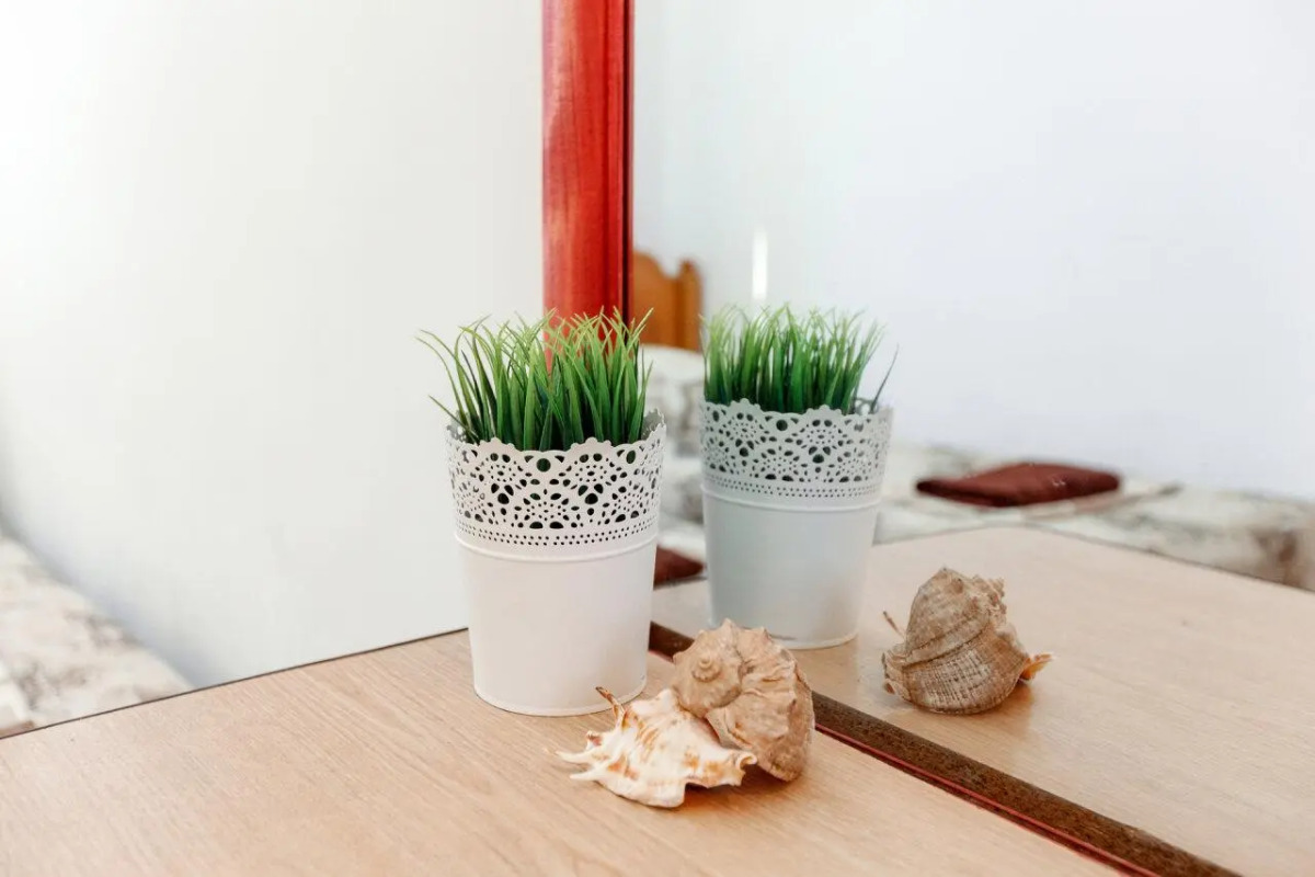 Green Oasis. Vavilon (Грин Оазис. Вавилон)