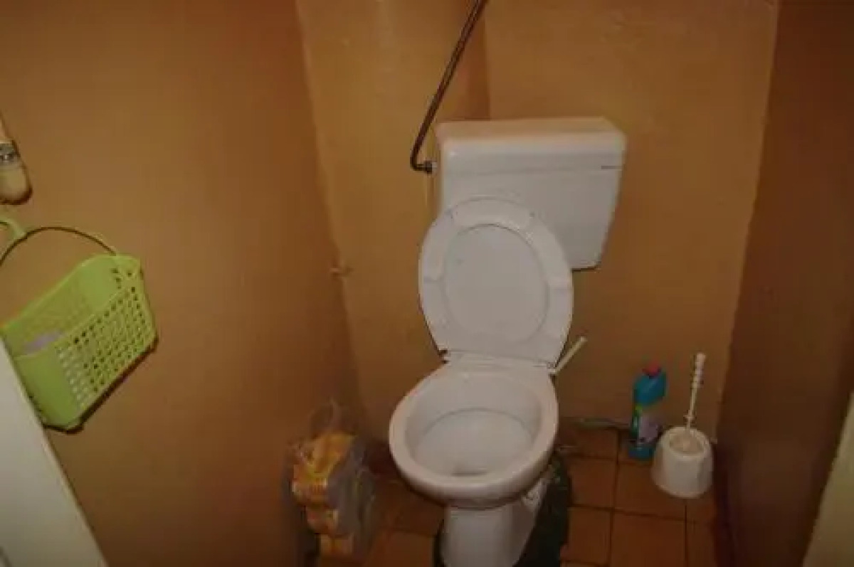 Cat's house Хостел