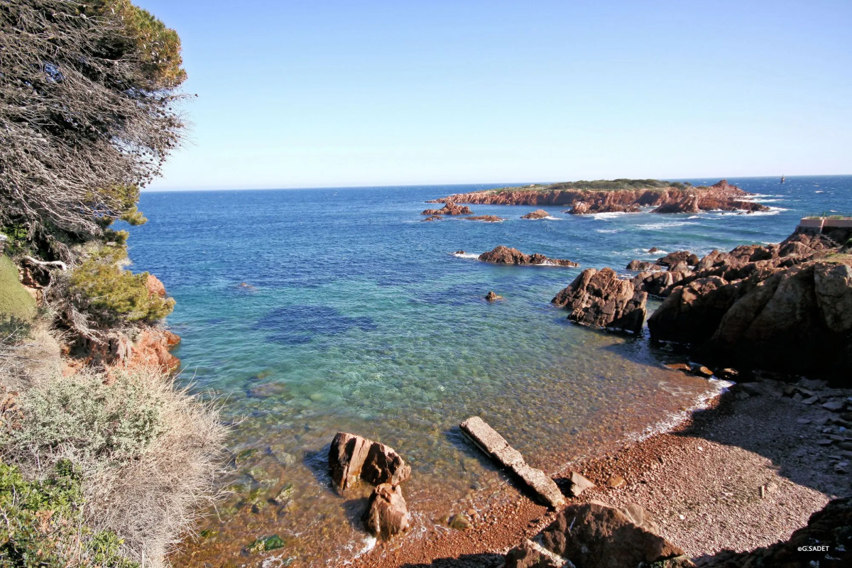 SOWELL Family Riviera