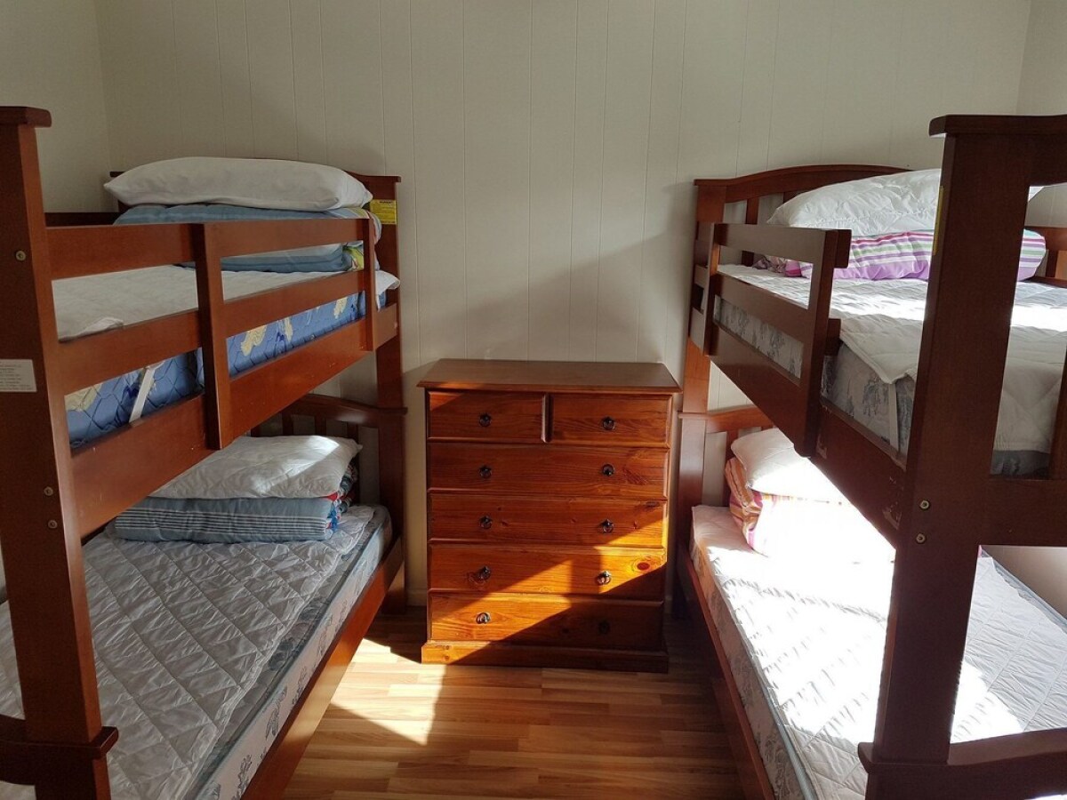 53 Honeysuckle in Silverleaves