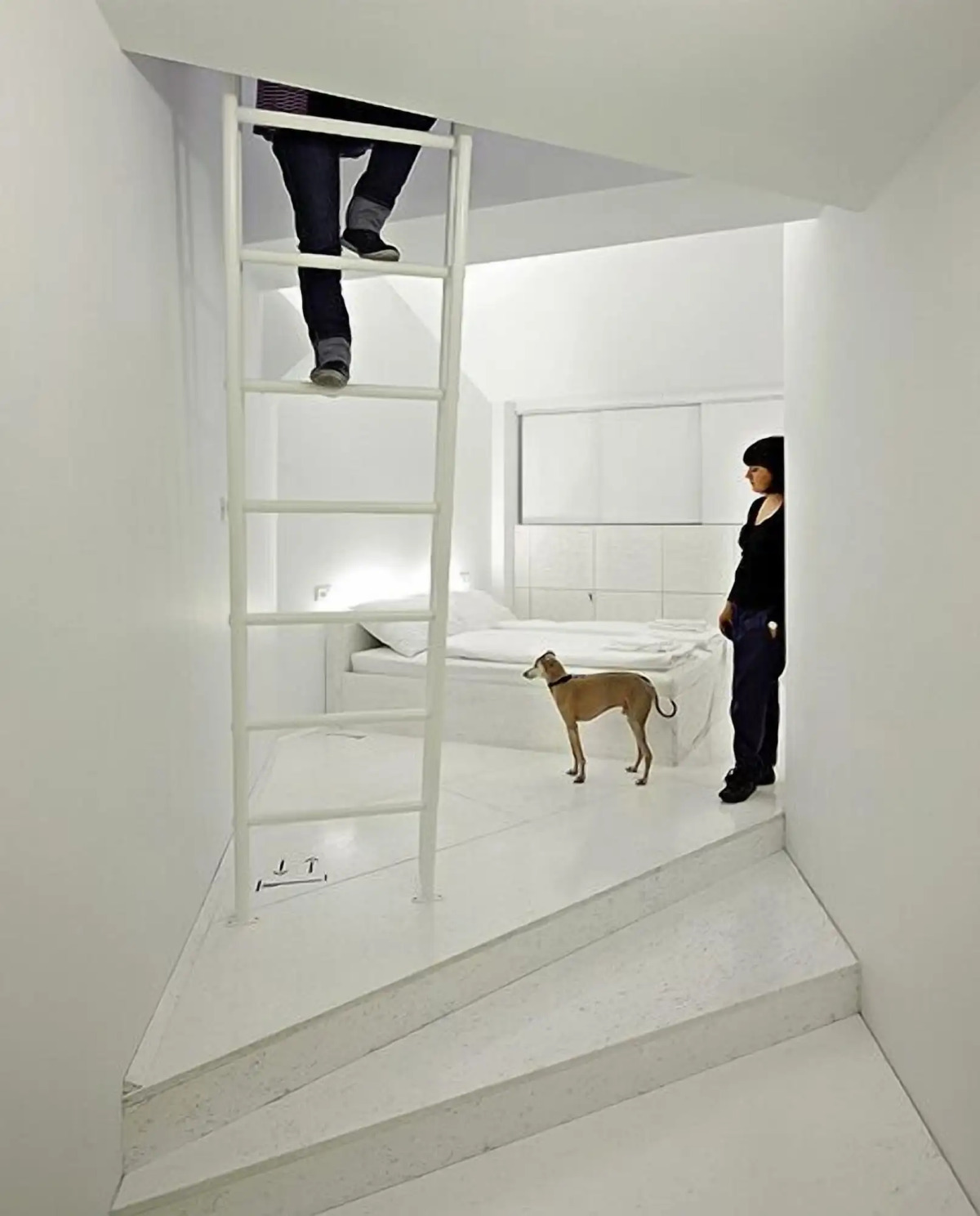 Design Hostel Goli & Bosi