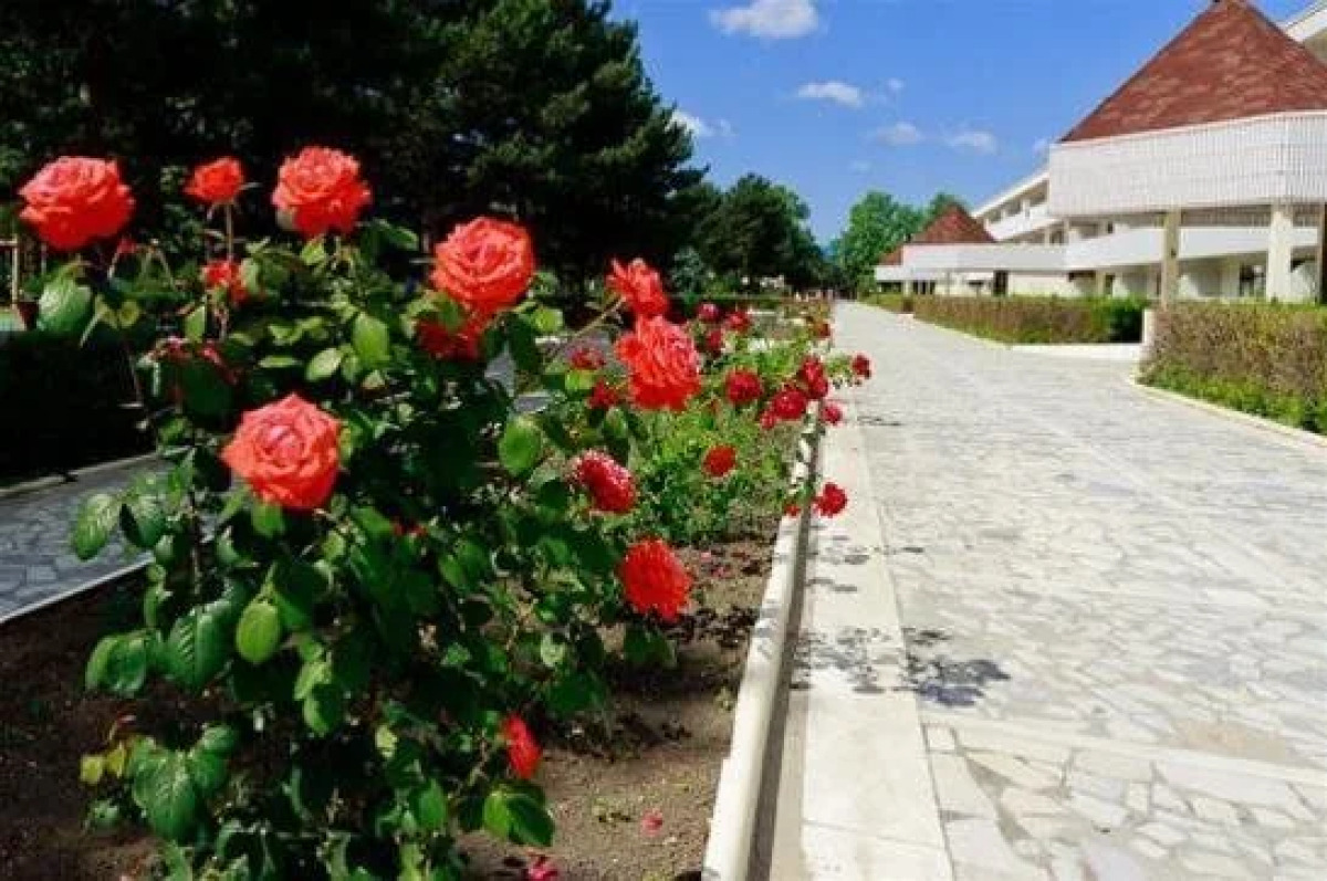 Пансионат Ласточка