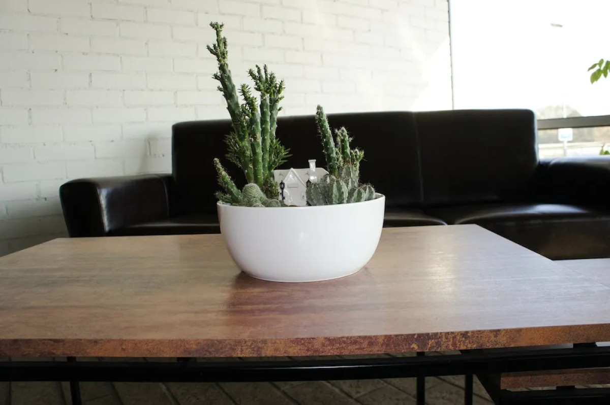 Zaliasis Slenis — отель с самостоятельным заездом