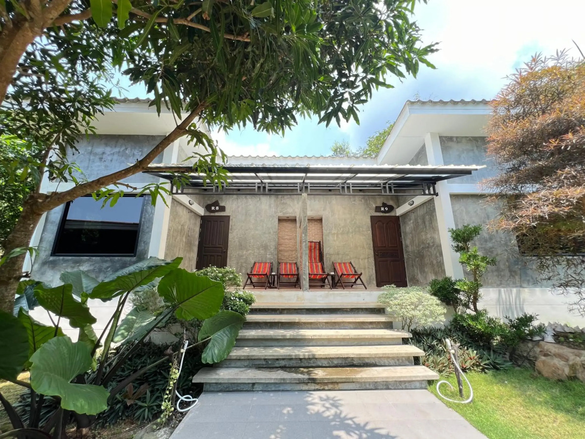 Sunshine on the rock