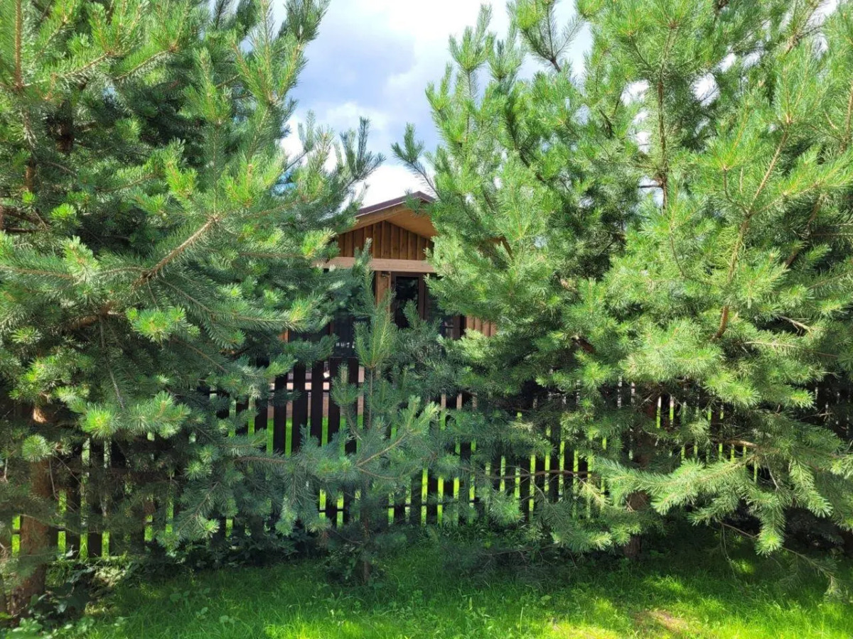 Домики на Луговом