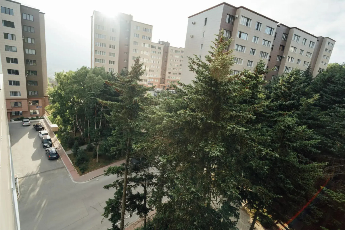 Серебряный бор (Сахалин)