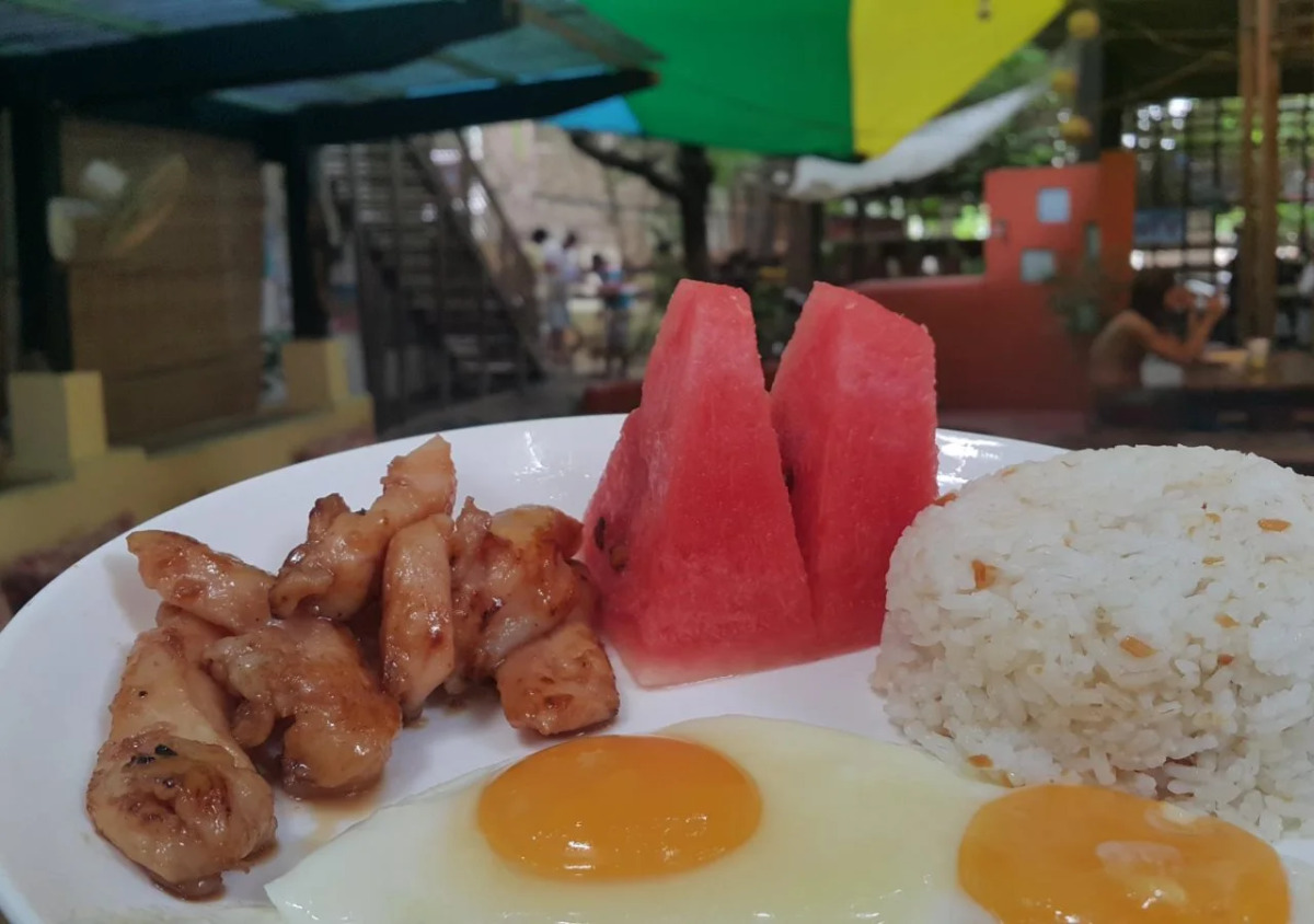 The Lazy Dog Bed & Breakfast