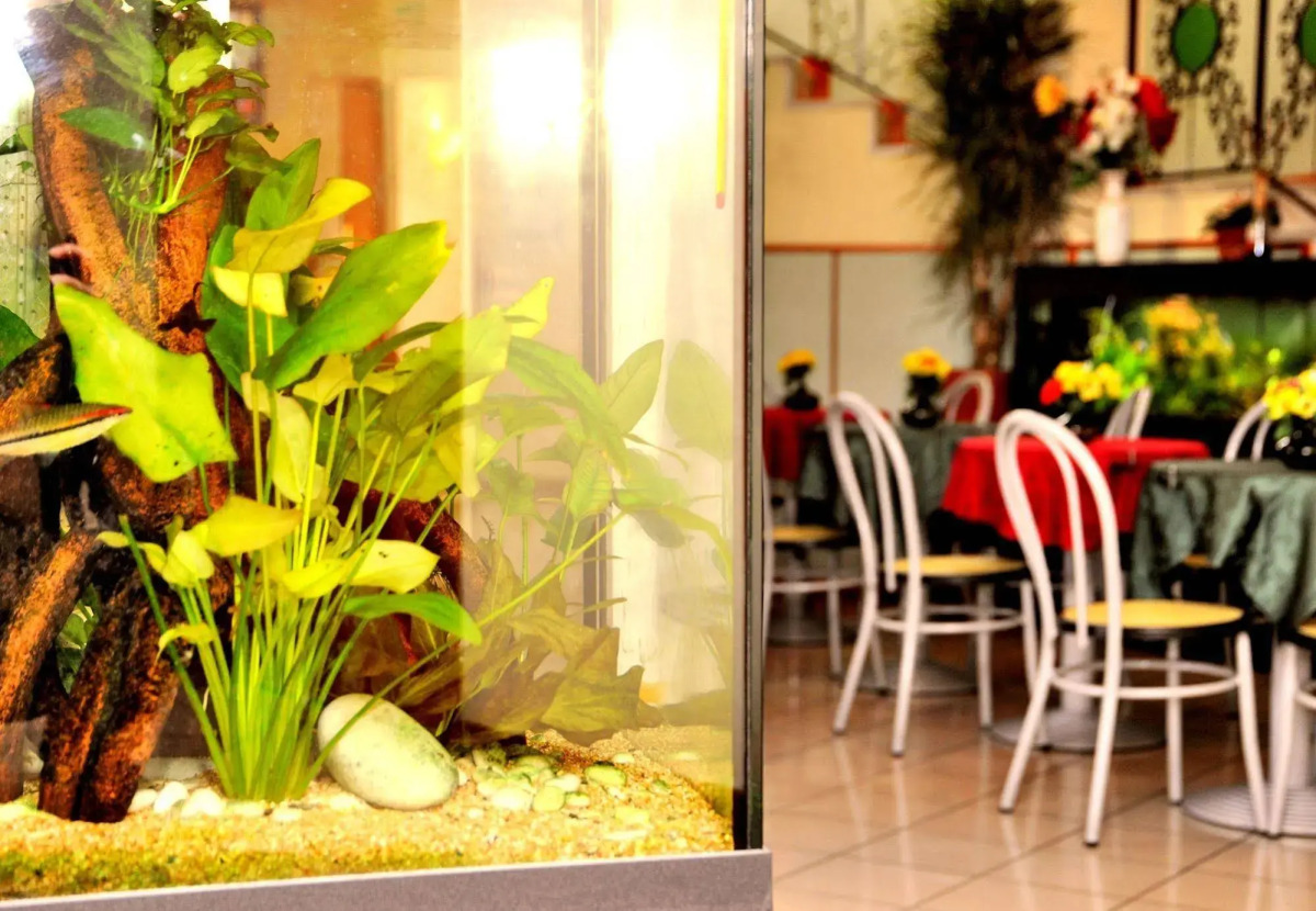 Hotel San Siro Fiera