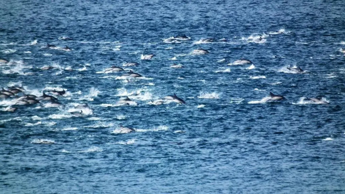 Misty Waves Boutique Hotel