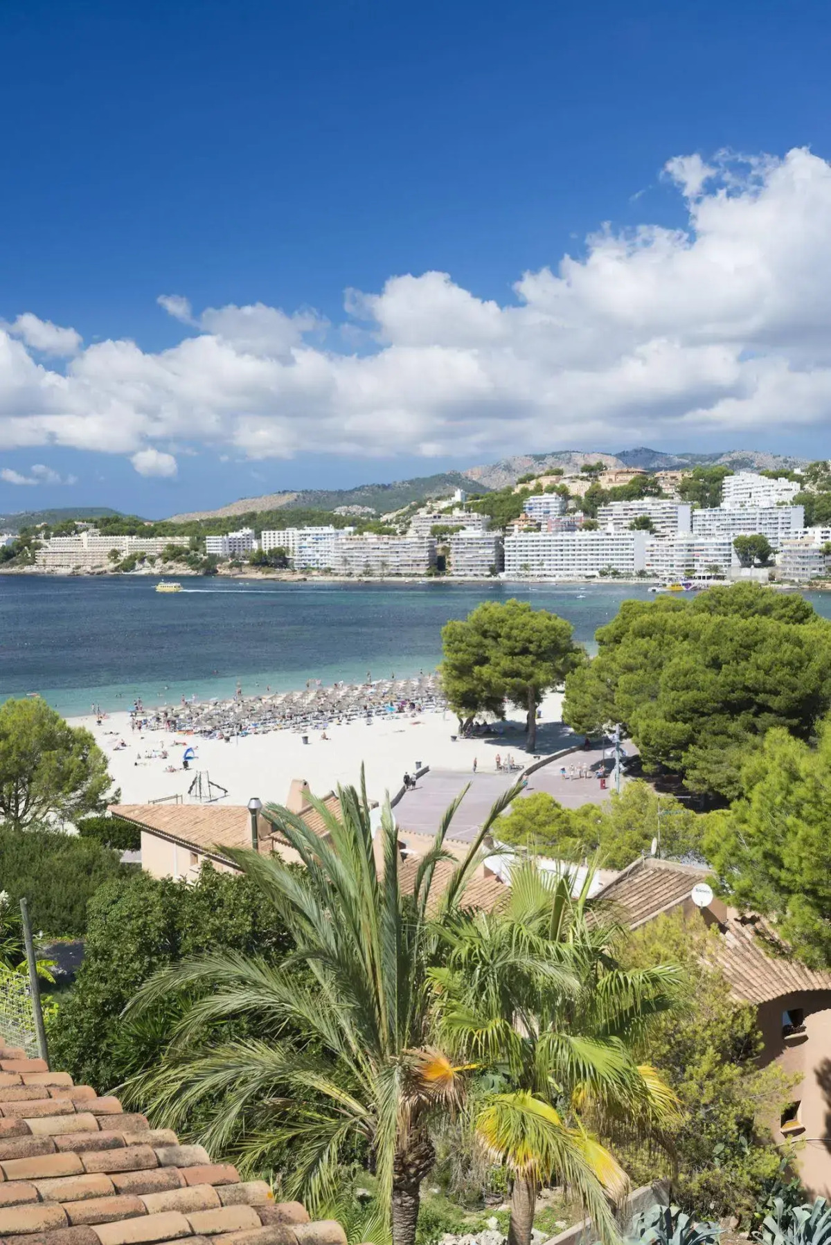 Apartamentos Casa Vida