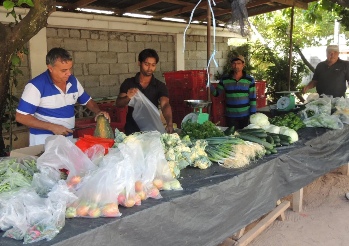 Reef Holiday Apartments