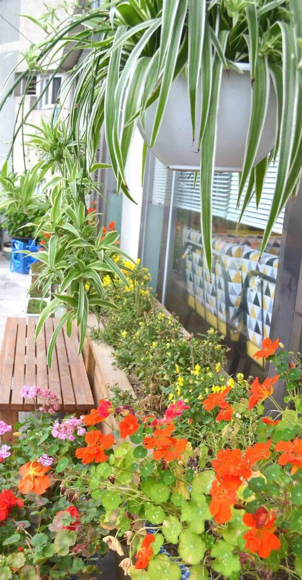 Egg House Sokcho Guesthouse