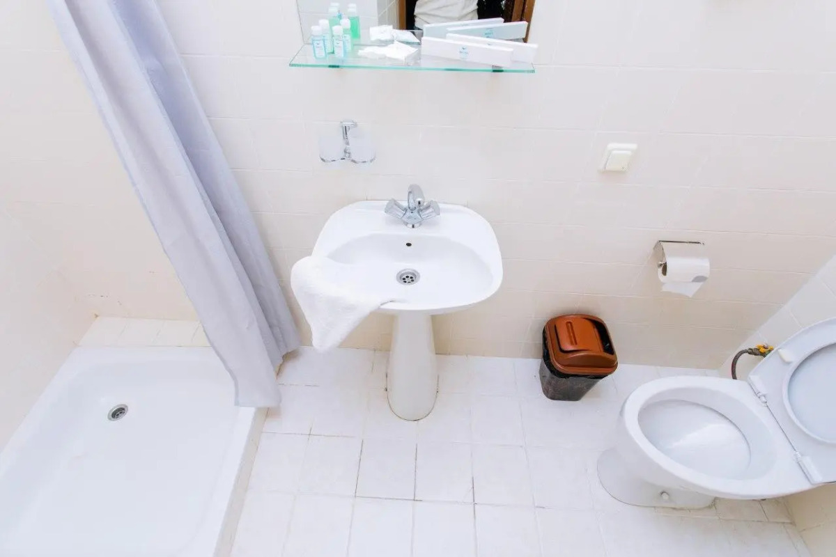 Stella (Стелла)