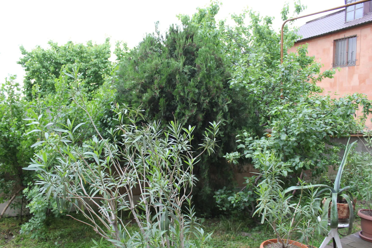 Отель Best View