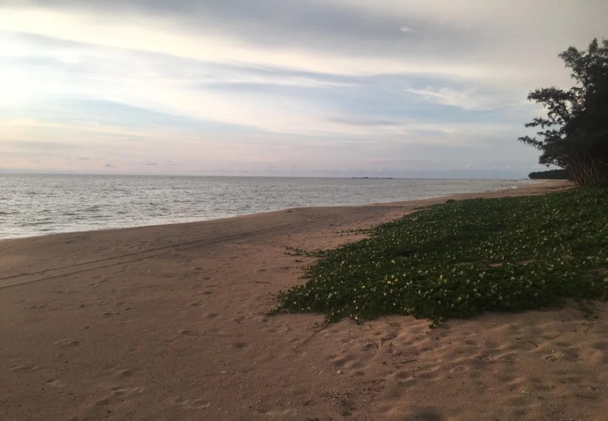 Le Coral Beach Resort and Cafe