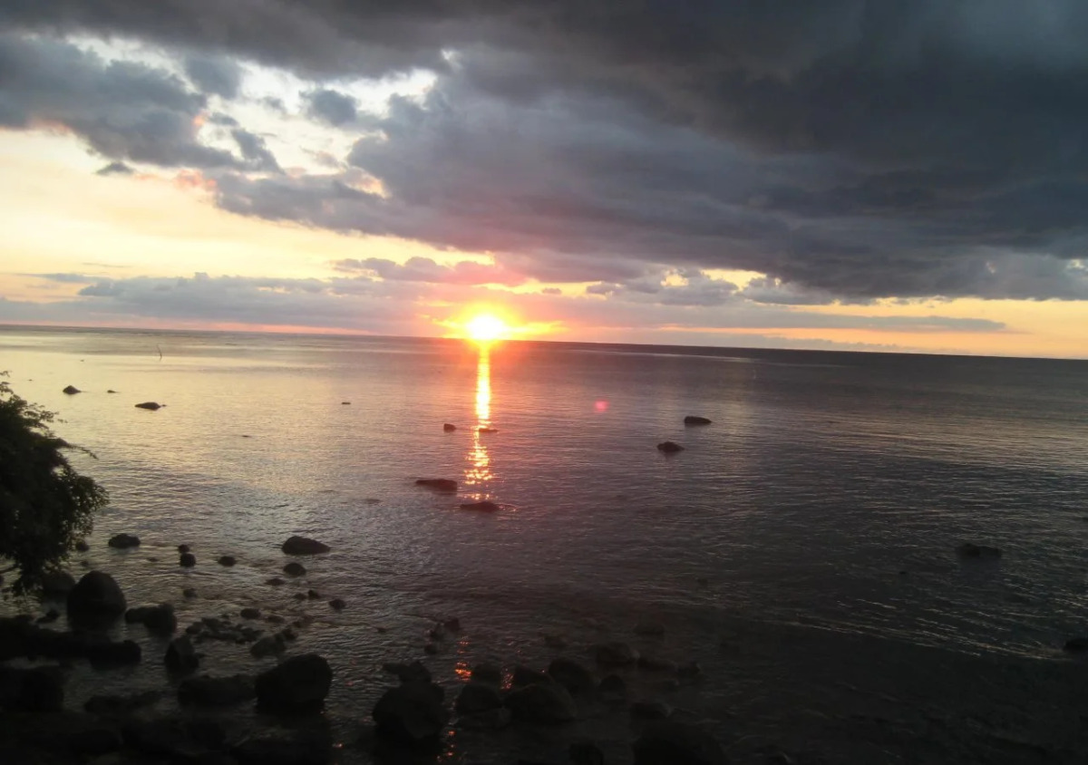 Le Cactus Guesthouse