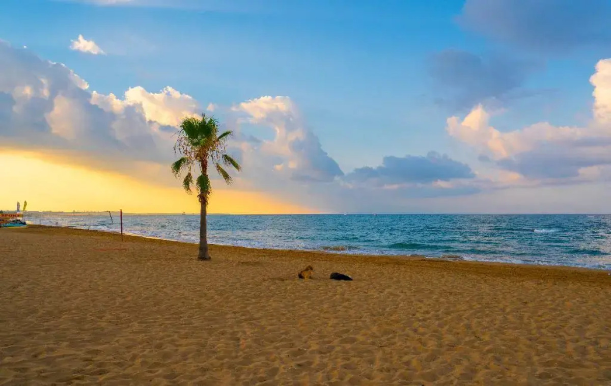 Sural Resort - All Inclusive