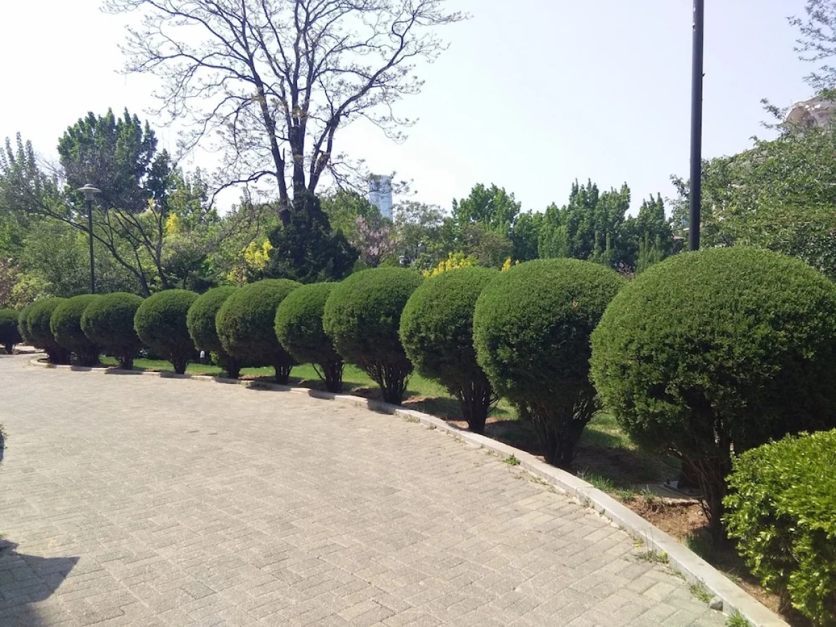 Nanshan Garden Hotel