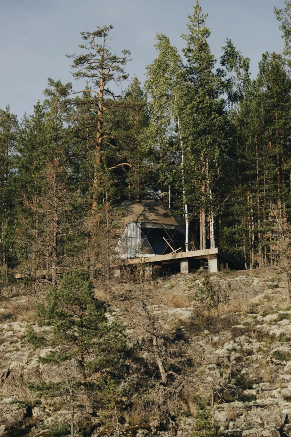 Вили Улей Карелия