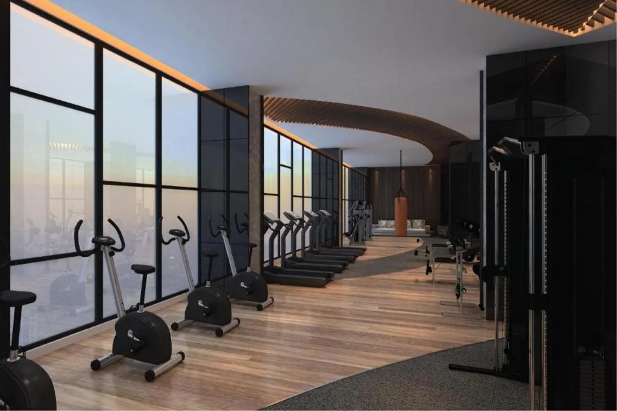 Sleeping Lion Suites