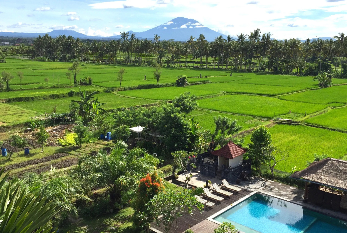 Collection O Ubud Near Central Ubud Formerly Hotel Suly