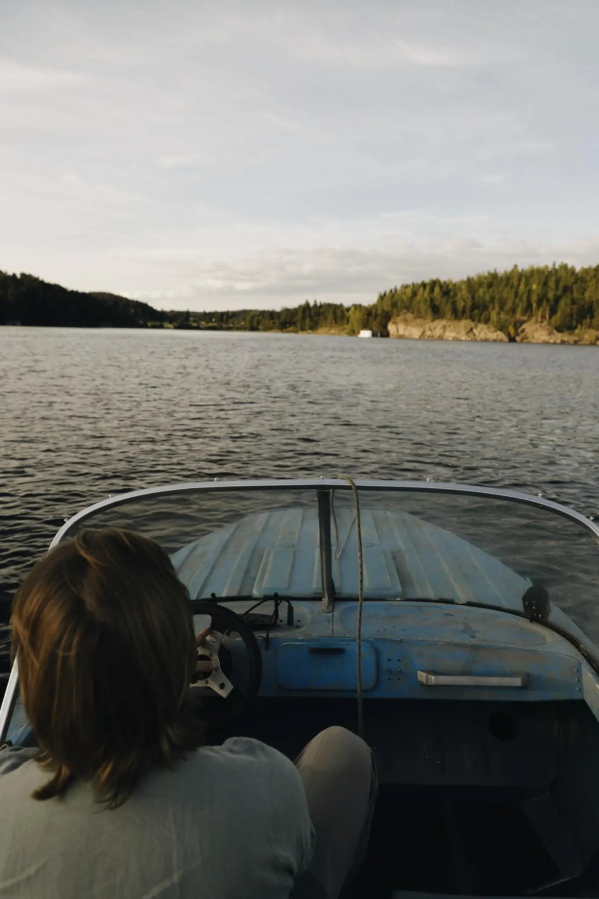 Вили Улей Карелия