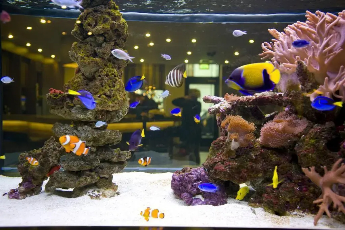 Eden Plaza Kensington