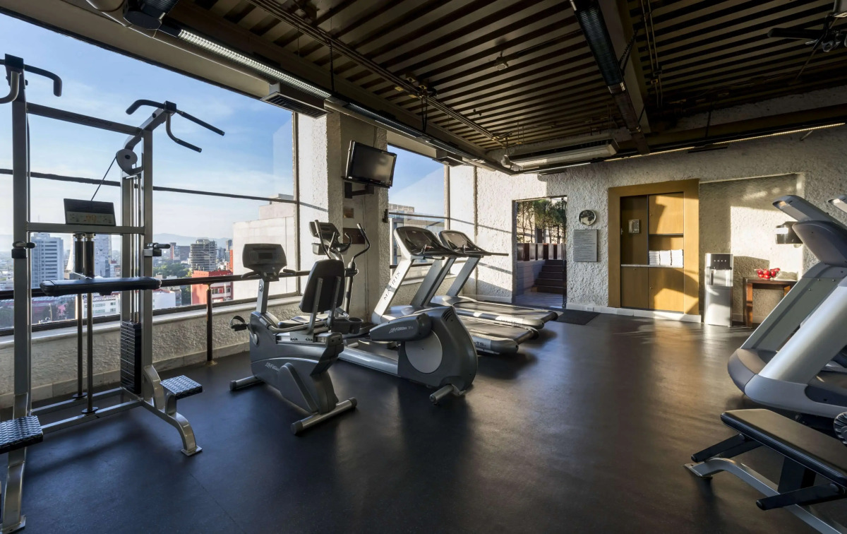 Galeria Plaza Reforma