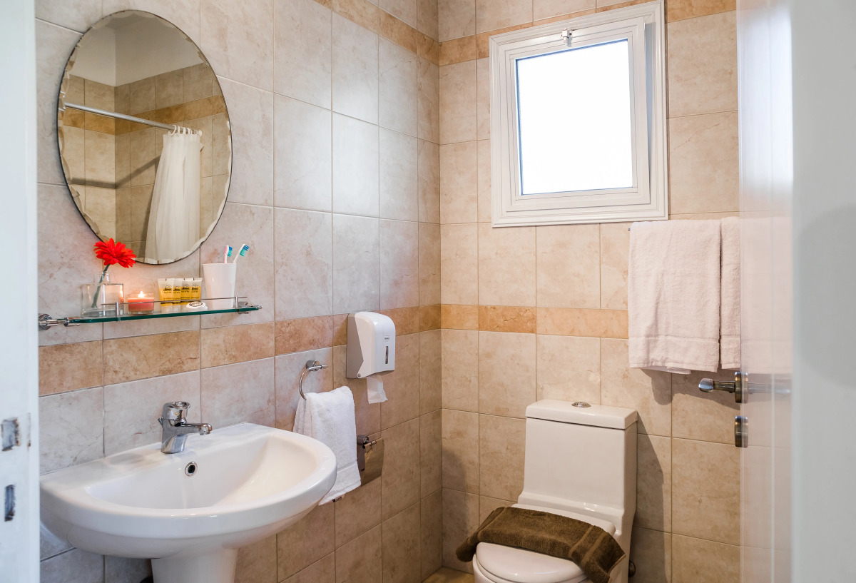 Artemis Cynthia Complex