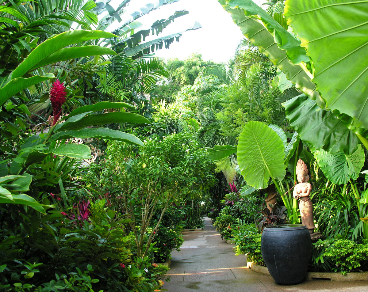 White House Beach Resort And Spa