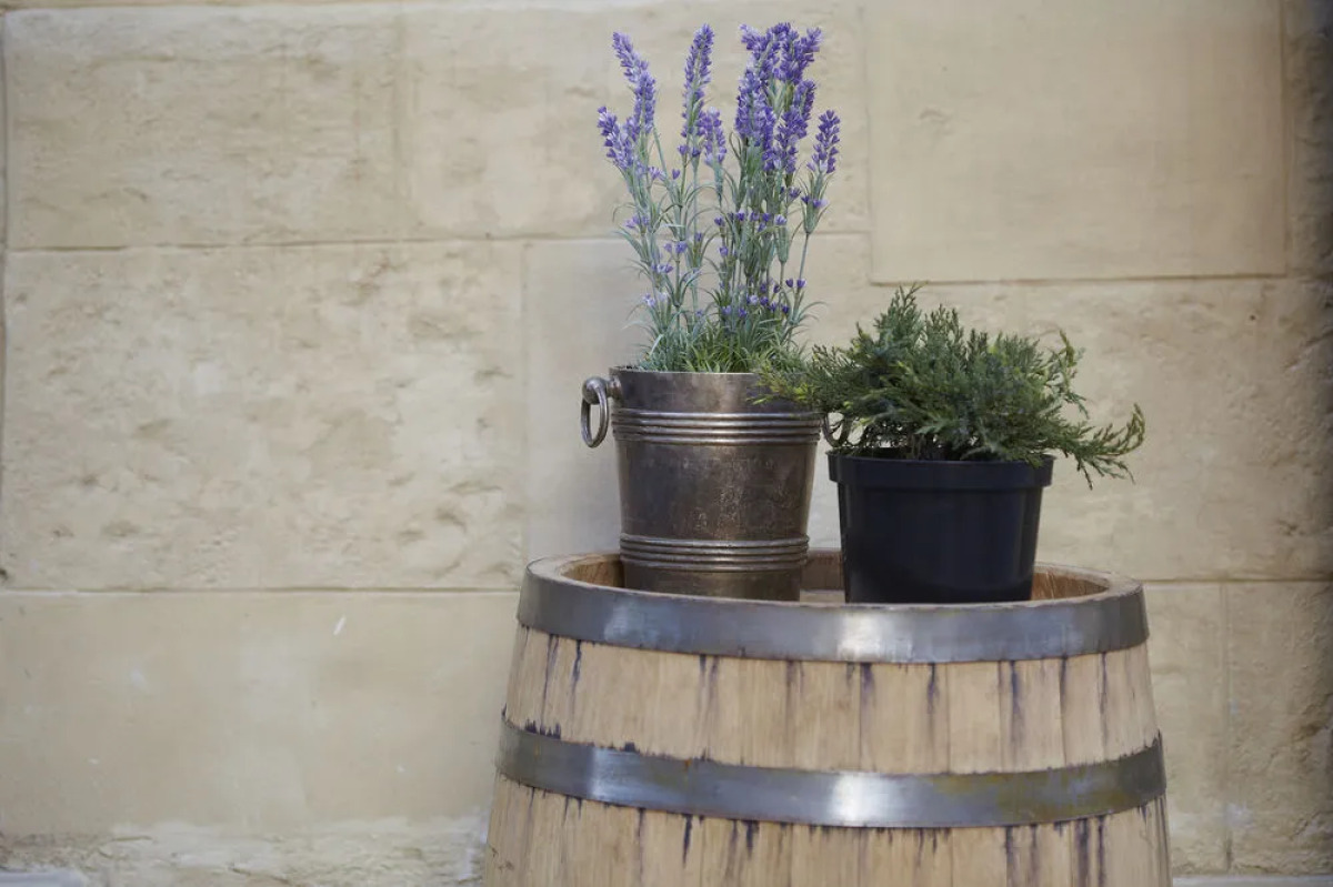 «Винтаж Бутик Отель»