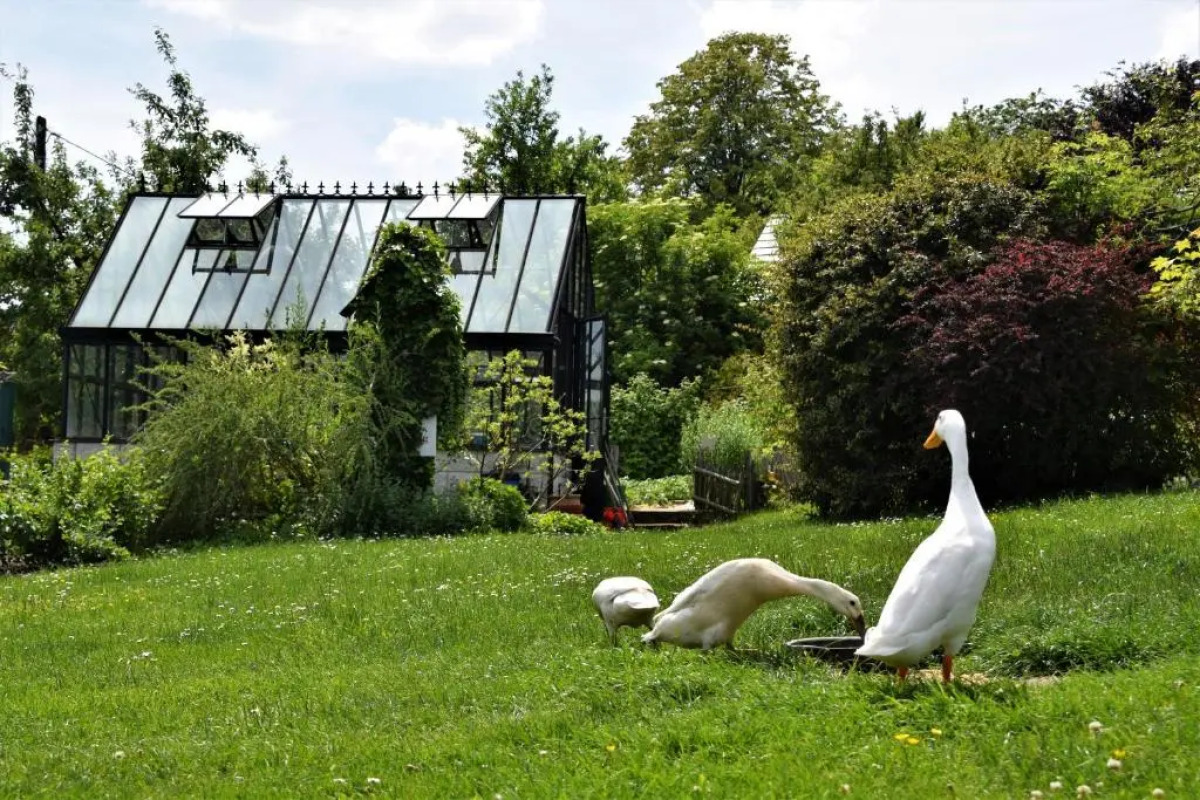 Pension Am Kirschberg