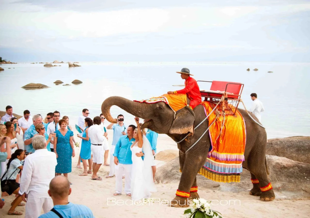 Beach Republic, Koh Samui