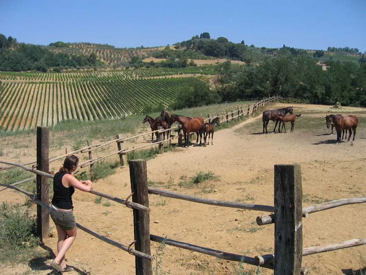 Agriturismo La Moraia